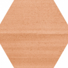 face_011