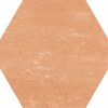face_017