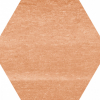 face_019