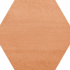 face_020