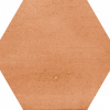 face_038