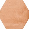 face_041