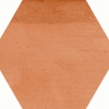 face_016