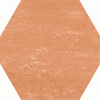 face_017