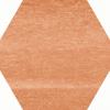 face_019