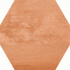 face_024