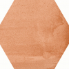 face_041
