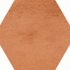face_045