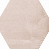 face_041