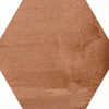 face_041
