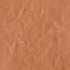 face_019