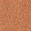 face_020