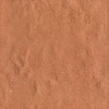 face_021