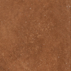 face_010