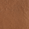 face_024