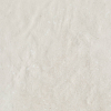 face_019