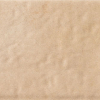 face_011