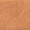 face_0100