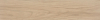 Zanzibar Camel EXT