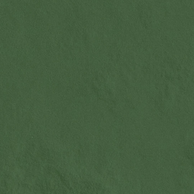 Amb Amazonia Acre BR
