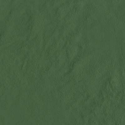 Amb Amazonia Acre BR