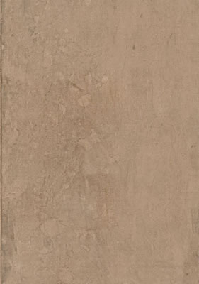 Arbor Canela MA