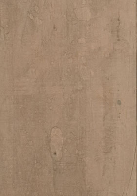 Arbor Canela MA
