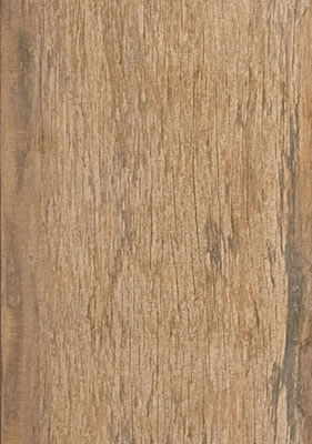 Arbor Canela MA