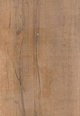 Arbor Canela MA