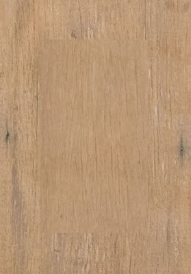 Arbor Canela MA