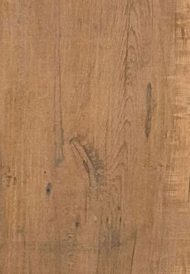 Arbor Canela MA