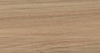 Artemi Jequitiba EXT 3D