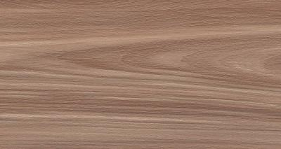 Artemi Nogueira AC 3D