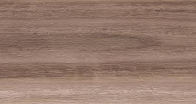 Artemi Nogueira AC 3D