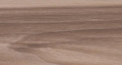 Artemi Nogueira AC 3D