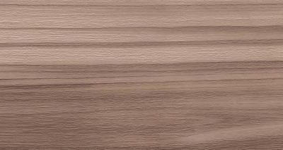 Artemi Nogueira AC 3D