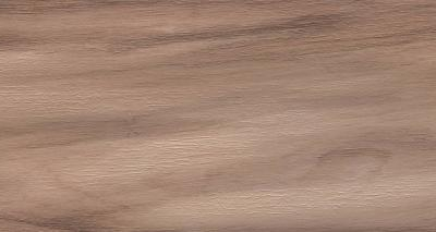 Artemi Nogueira AC 3D