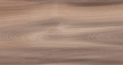 Artemi Nogueira AC 3D