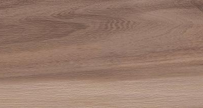 Artemi Nogueira AC 3D