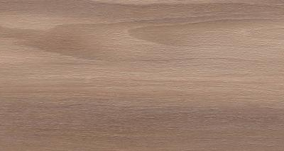 Artemi Nogueira AC 3D