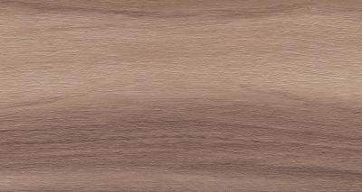 Artemi Nogueira AC 3D