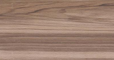 Artemi Nogueira AC 3D