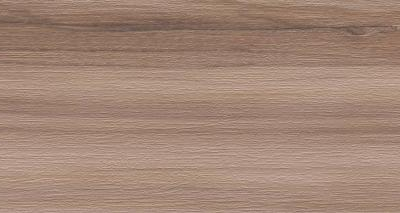 Artemi Nogueira AC 3D