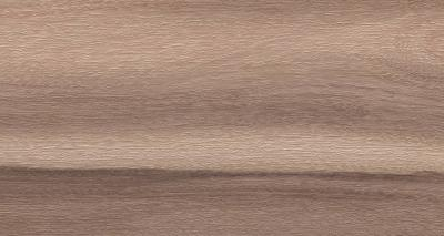 Artemi Nogueira AC 3D