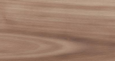 Artemi Nogueira EXT 3d