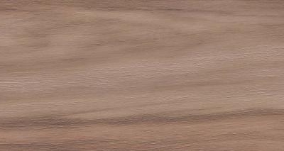 Artemi Nogueira EXT 3d