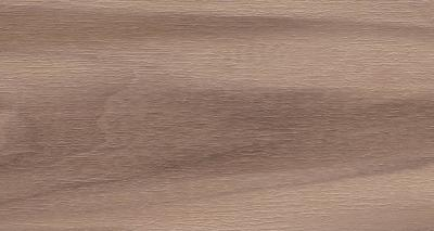 Artemi Nogueira EXT 3d