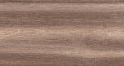 Artemi Nogueira EXT 3d