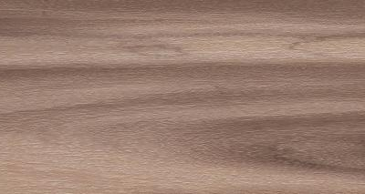 Artemi Nogueira EXT 3d