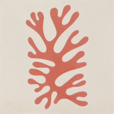 Calu Matisse Mix Color